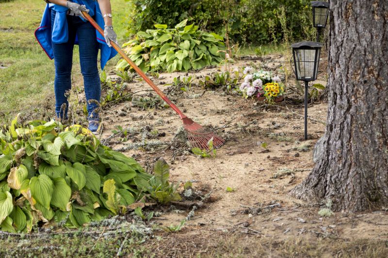 Clearing a Site in Progress