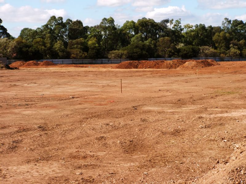 Site Preparation Before Clearing